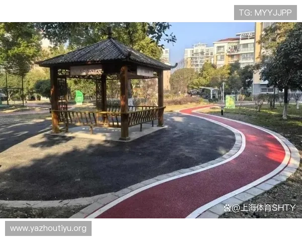 北投体育公园的健身设施全面介绍及使用指南 北投体育公园的健身设施全面介绍及使用指南